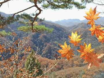 荣城打井机：地下水的守护神